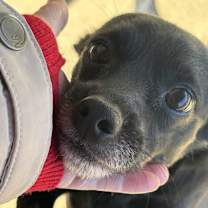 Thumbnail photo of Katy #3