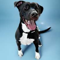 Thumbnail photo of Murray #2