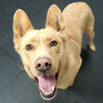 Thumbnail photo of Bloom #3