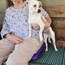 Thumbnail photo of Lucy #2