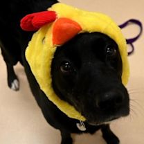 Thumbnail photo of Eeyore #4