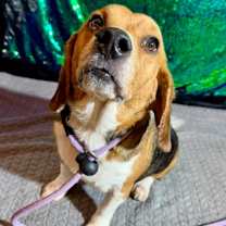 Thumbnail photo of ROCKSALT #2