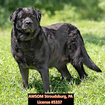 Thumbnail photo of Lady #1