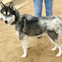 Thumbnail photo of Cliff #2