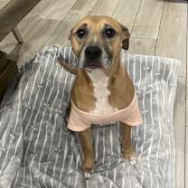 Thumbnail photo of Kola #4