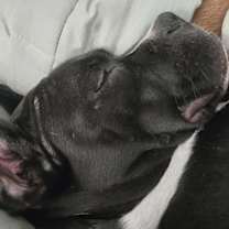 Thumbnail photo of Margot #2