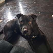 Thumbnail photo of Shadow #3