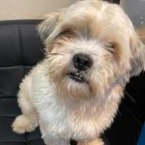 Thumbnail photo of Clyde in TX #3