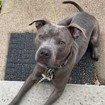 Thumbnail photo of Chance #1