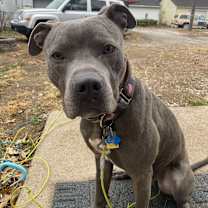 Thumbnail photo of Chance #3