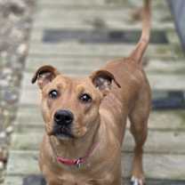 Thumbnail photo of Belle #1