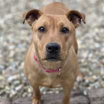 Thumbnail photo of Belle #2