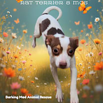 Thumbnail photo of Petunia RT #3