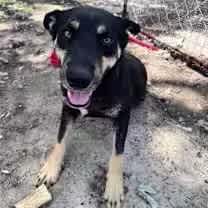 Thumbnail photo of Howard #2