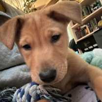 Thumbnail photo of Preston #3