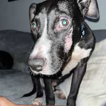 Thumbnail photo of Max #1