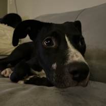 Thumbnail photo of Max #2