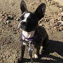 Thumbnail photo of Zeus #2