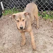 Thumbnail photo of Whimsy #1