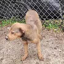 Thumbnail photo of Whimsy #4