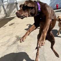 Thumbnail photo of Luna #3