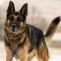 Thumbnail photo of Cap (25-477) #4