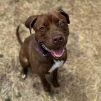 Thumbnail photo of Sugar #1