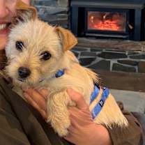 Thumbnail photo of Oliver  #2