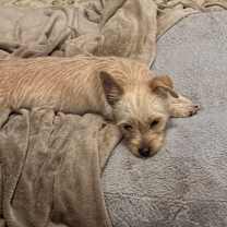 Thumbnail photo of Oliver  #3