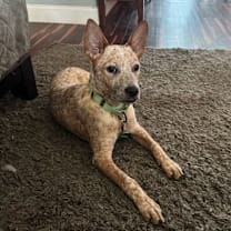 Thumbnail photo of AMORY #4