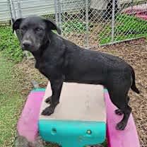 Thumbnail photo of Wilma #1