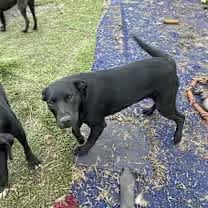 Thumbnail photo of Wilma #3