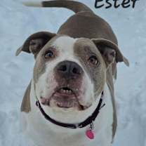 Thumbnail photo of Ester #1