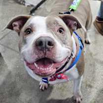 Thumbnail photo of Ester #4