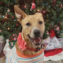 Thumbnail photo of Georgia O'Keefe #1