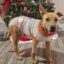 Thumbnail photo of Georgia O'Keefe #4