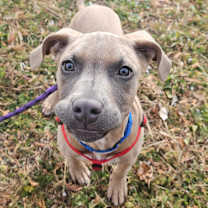 Thumbnail photo of Kahve #2