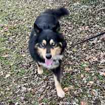 Thumbnail photo of Kevin #4