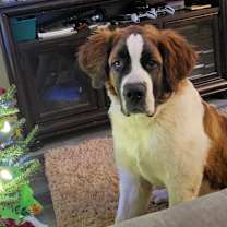 Thumbnail photo of Crosby #2