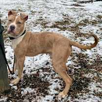 Thumbnail photo of Zach #4