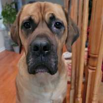 Thumbnail photo of Juno #1