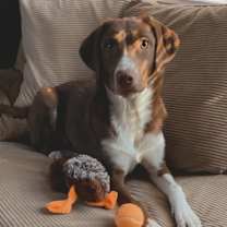 Thumbnail photo of Riley #1