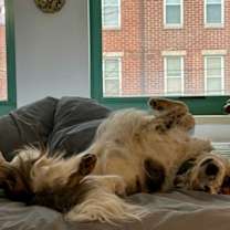 Thumbnail photo of Theo #4