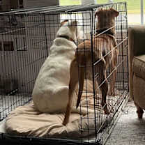 Thumbnail photo of ZIZZER ZAZZER ZUZZ #2