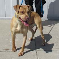 Thumbnail photo of ZIZZER ZAZZER ZUZZ #3