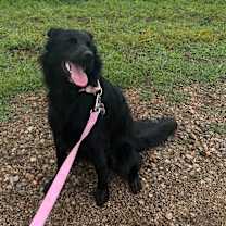 Thumbnail photo of Lucy #1