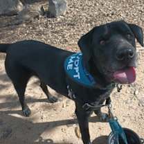 Thumbnail photo of Midnight #4