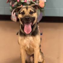 Thumbnail photo of Donald #1