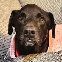 Thumbnail photo of Tzatziki #4