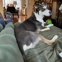 Thumbnail photo of Arnie #3